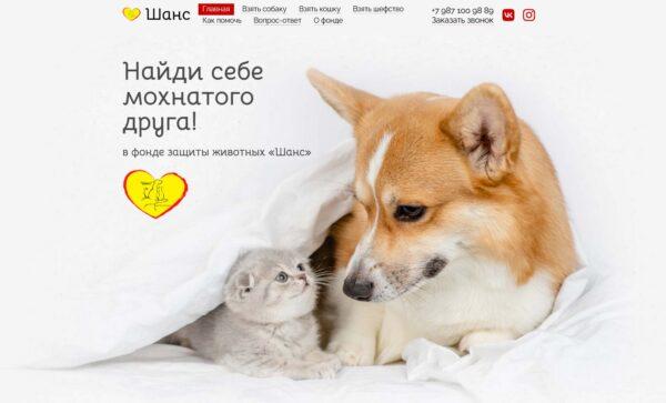 Шанс